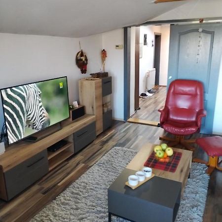 בלגרד Apartment Viktor מראה חיצוני תמונה