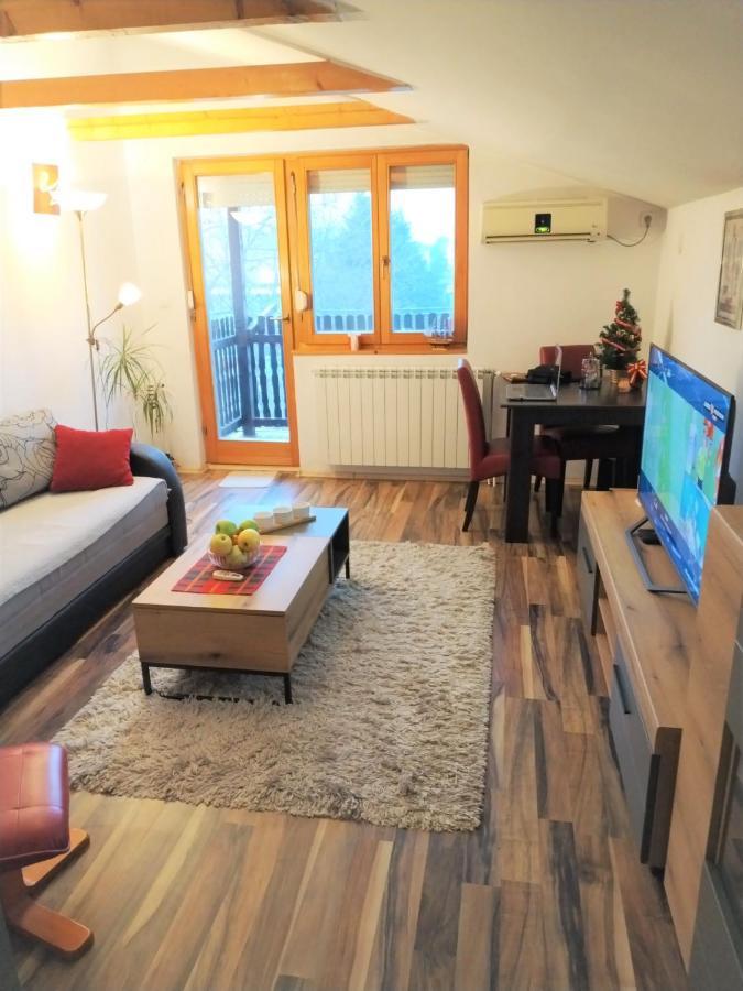 בלגרד Apartment Viktor מראה חיצוני תמונה